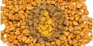 Fenugreek Seeds