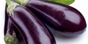Fresh Brinjal