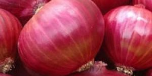 Red Onion