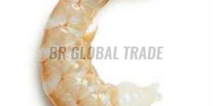 Frozen Sea White Shrimp