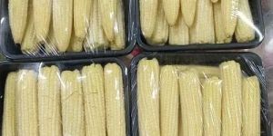 Frozen Baby Corn