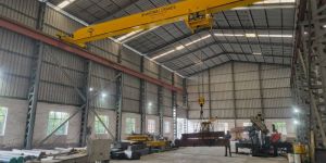 Material Handling Crane