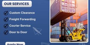 Sea Logistics Service From India To Usa