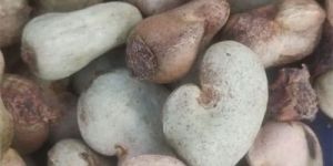 Raw Cashew