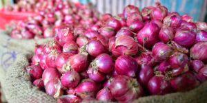 Small Onion