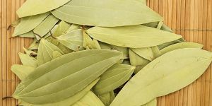 Bay Leaf