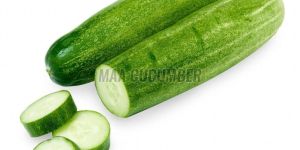 Fresh Green Desi Cucumber