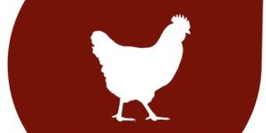 Chicken Liver Powder