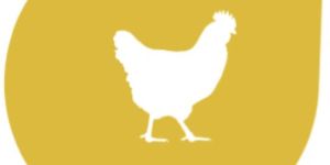 Poultry Pro Chicken Meal