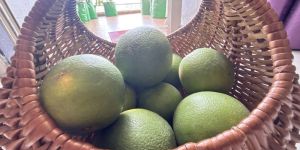 Organic Mosambi Fruits