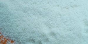Desiccated Coconut Powder