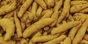 Turmeric Finger
