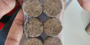 Pure Cow Dung Cake