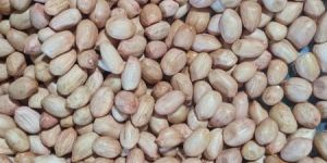 Ground Nut
