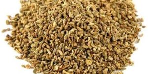 Carom Seeds