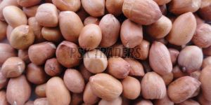 Groundnut Kernels