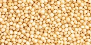 Whole Amaranth Rajgira Seeds