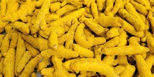 Double Polished Turmeric