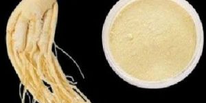 Dried Shatavari Extract Powder