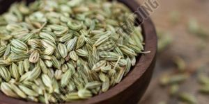 Fennel Seeds