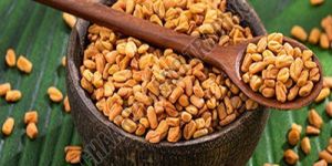 Fenugreek Seed