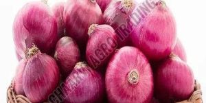 Fresh Pink Onion