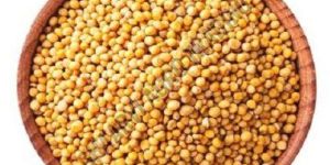 Yellow Mustard Seeds
