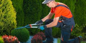 Garden Maintenance Service