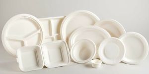 Sugarcane Bagasse Plate