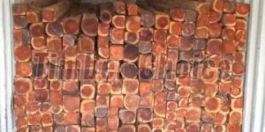 Burma Teak Wood Cut Size Logs