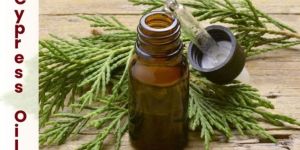 Cypress Oil
