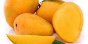 a Grade Fresh Mango