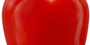 a Grade Red Capsicum