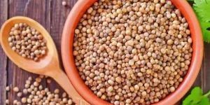 A Grade Whole Coriander Seed