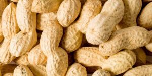 A Grade Whole Shell Peanut