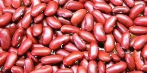 Red Bold Rajma Kidney Bean