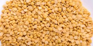 Yellow A Grade Pigeon Pea (Toor Dal)