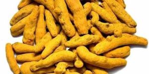 Yellow Turmeric Finger