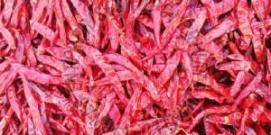 Guntur Dry Red Chilli