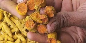 Organic Turmeric Finger