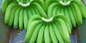 Fresh Green Banana
