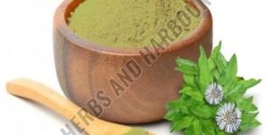 Bhringraj Powder