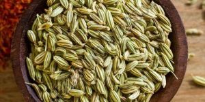 Fennel Seeds
