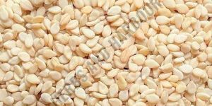 Sesame Seeds