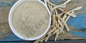 Shatavari Powder