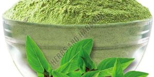 Tulsi Powder