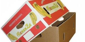 Banana Fruit Box