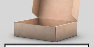 Corrugated Box