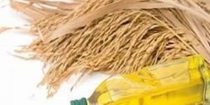 Refined Rice Bran Oil