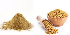 Fenugreek Extract